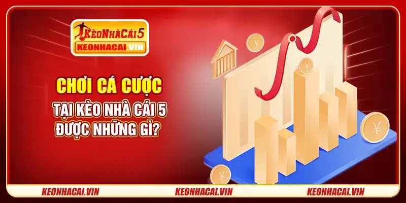 Chơi cá cược tại Kèo Nhà Cái 5 được những gì?