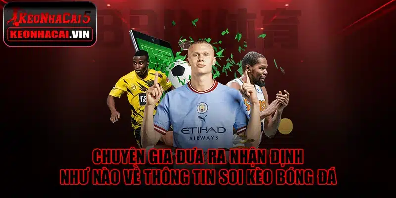 Chuyên gia đưa ra nhận định như nào về thông tin soi kèo bóng đá
