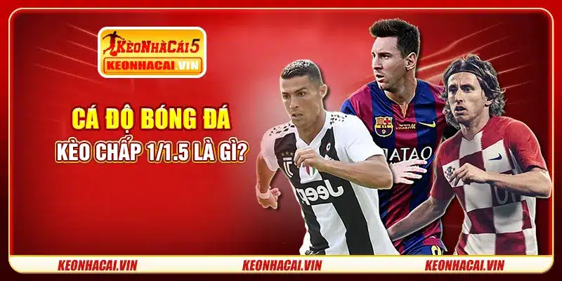 Cá độ bóng đá kèo chấp 1/1.5 là gì?