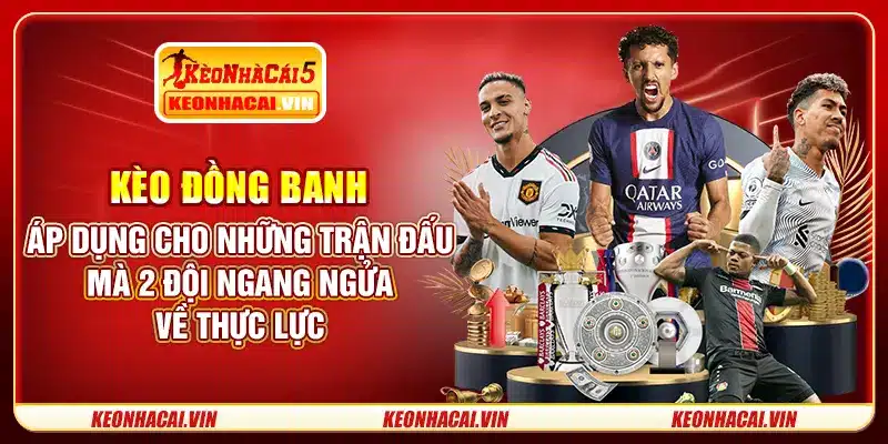 Kèo đồng banh áp dụng cho những trận đấu mà 2 đội ngang ngửa về thực lực